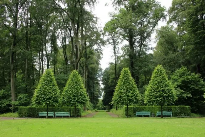 Servicio de Jardinería Mantenimiento de jardines