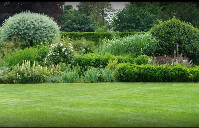 Servicio de Jardinería Mantenimiento de jardines