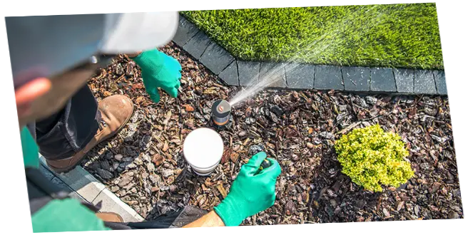 Servicio de Jardinería Riego automatico RIEGO AUTOMATICO